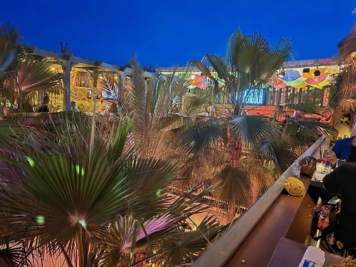 La Pergola Restaurant Marrakech - book restaurant in marrakech - RENTS.ma