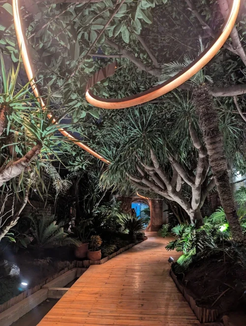 Lily’s Restaurant Casablanca – Fine Dining with an Ocean View 🌊🍴 - book restaurant in casablanca - RENTS.ma