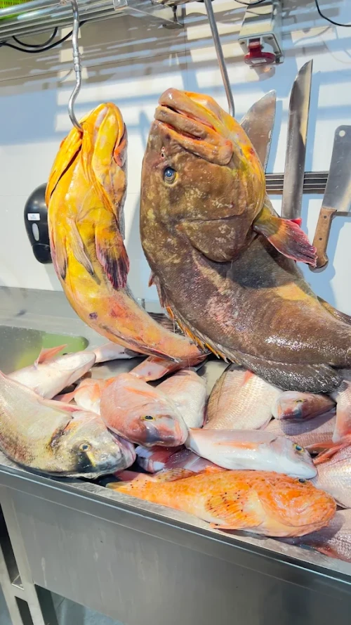 ❄️ Restaurant Antarctique – Exquisite Dining in Tangier - book restaurant in tangier - RENTS.ma