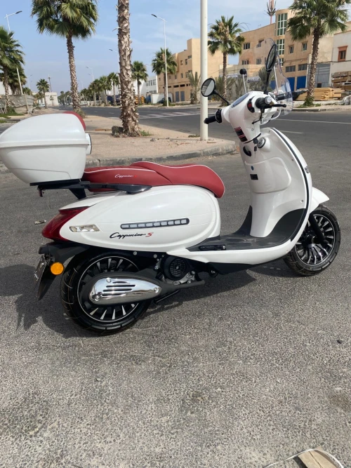 Scooter rental in marrakech - scooters for rent in marrakech - RENTS.ma