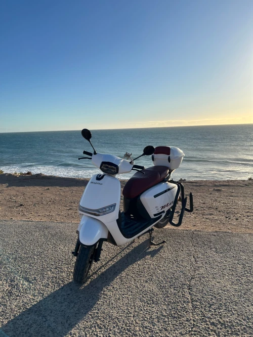 🛵 Scooter Rental Tamraght with Surf Rack | 50cc Moped - scooters for rent in tamraght - RENTS.ma