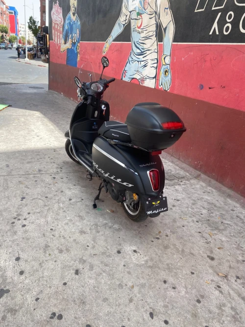 Scooter Rental in Essaouira  | Ride the Wind & Beat the Heat - scooters for rent in essaouira - RENTS.ma