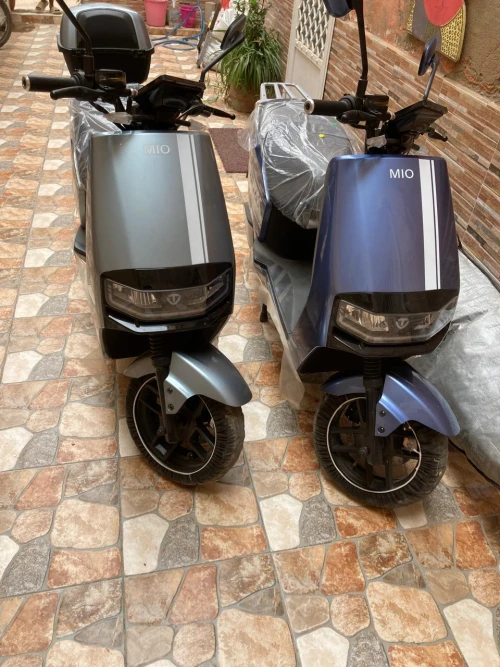 Surf Volt – Electric Scooter Rental in Tamraght & Taghazout ⚡ - scooters for rent in taghazout - RENTS.ma