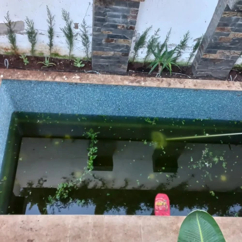 nettoyage de la piscine - hire a professional in casablanca - RENTS.ma