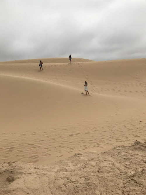 World of Waves - surfing in taghazout - surf for rent in taghazout - RENTS.ma