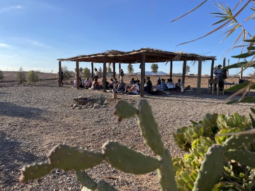 Marrakech Palmeraie Bike Tour – Explore the Oasis by Bike - book tour in marrakech - RENTS.ma