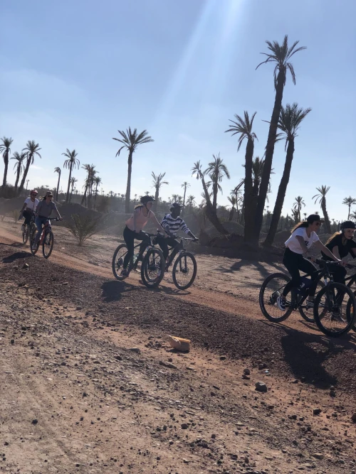 Marrakech Palmeraie Bike Tour – Explore the Oasis by Bike - book tour in marrakech - RENTS.ma