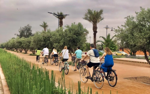 🚴‍♂️ Explore Marrakech Gardens by Bike – Best Green Spaces & Cultural Tour - book tour in marrakech - RENTS.ma