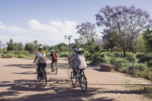 🚴‍♂️ Explore Marrakech Gardens by Bike – Best Green Spaces & Cultural Tour - book tour in marrakech - RENTS.ma