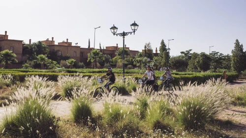 🚴‍♂️ Explore Marrakech Gardens by Bike – Best Green Spaces & Cultural Tour - book tour in marrakech - RENTS.ma