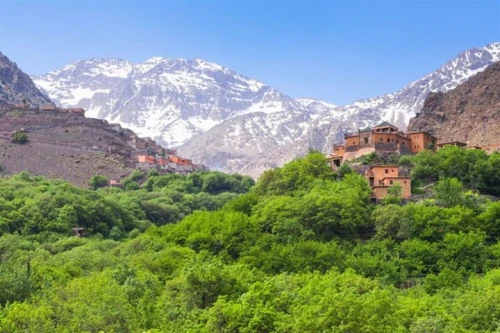 Marrakech Atlas Mountains Day trip with lunch - tours for rent in marrakech - RENTS.ma
