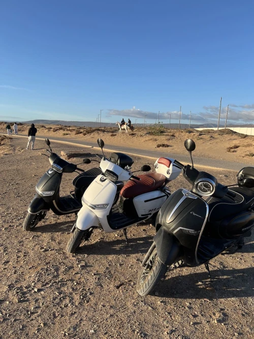 Swimming & Cliff Jumping Trip: Paradise Valley Hidden Oasis by Scooter - tours for rent in taghazout - RENTS.ma