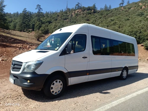 Private Coastal Transfer Agadir to Essaouira - transportation for rent in agadir - RENTS.ma
