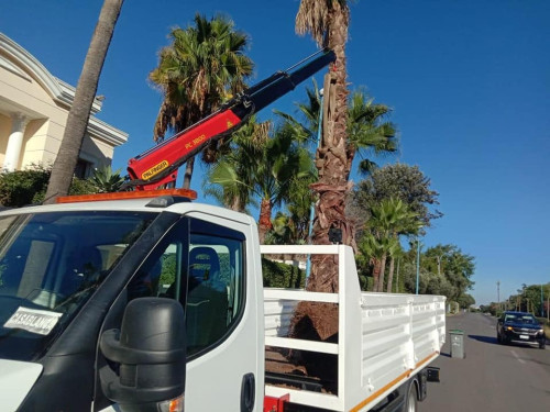 Camion iveco 2024 - trucks for rent in casablanca - RENTS.ma