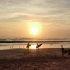 Surf Coast Morocco - Surf & Yoga House
