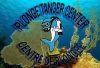 Diving in Tangier – Explore the Underwater World - diving for rent in tangier - RENTS.ma