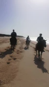 Dakhla Kiteboarding School – Learn & Ride in Morocco’s Wind Paradise 🪁🌊